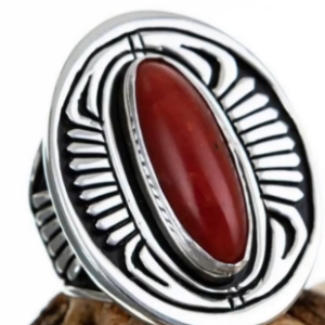 americanindianstyle.com.png (4)
